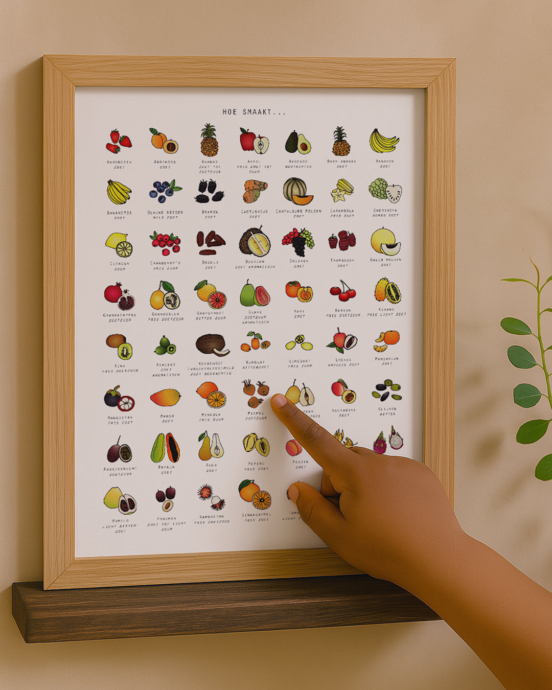 Poster - Hoe smaakt... Fruit